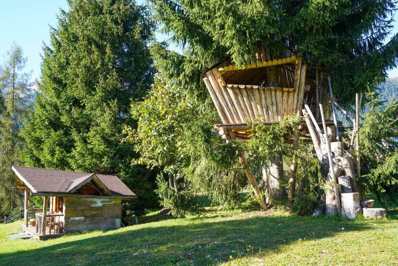 Tana Del Picchio Apartment Falcade Luaran gambar