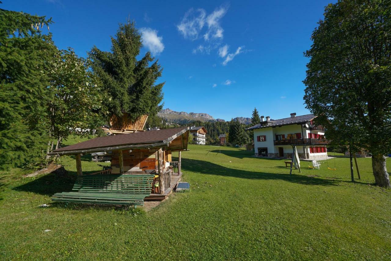Tana Del Picchio Apartment Falcade Luaran gambar